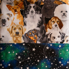 Starry Sky with Realistic Animal Print Panel (Assorted Colours)